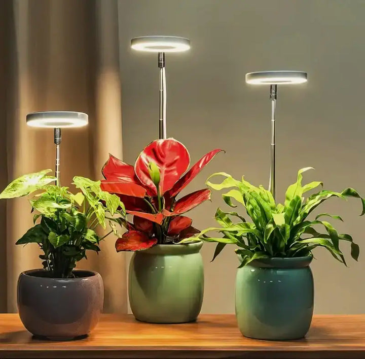 Iliana - Verstellbare LED-Pflanzenlampe