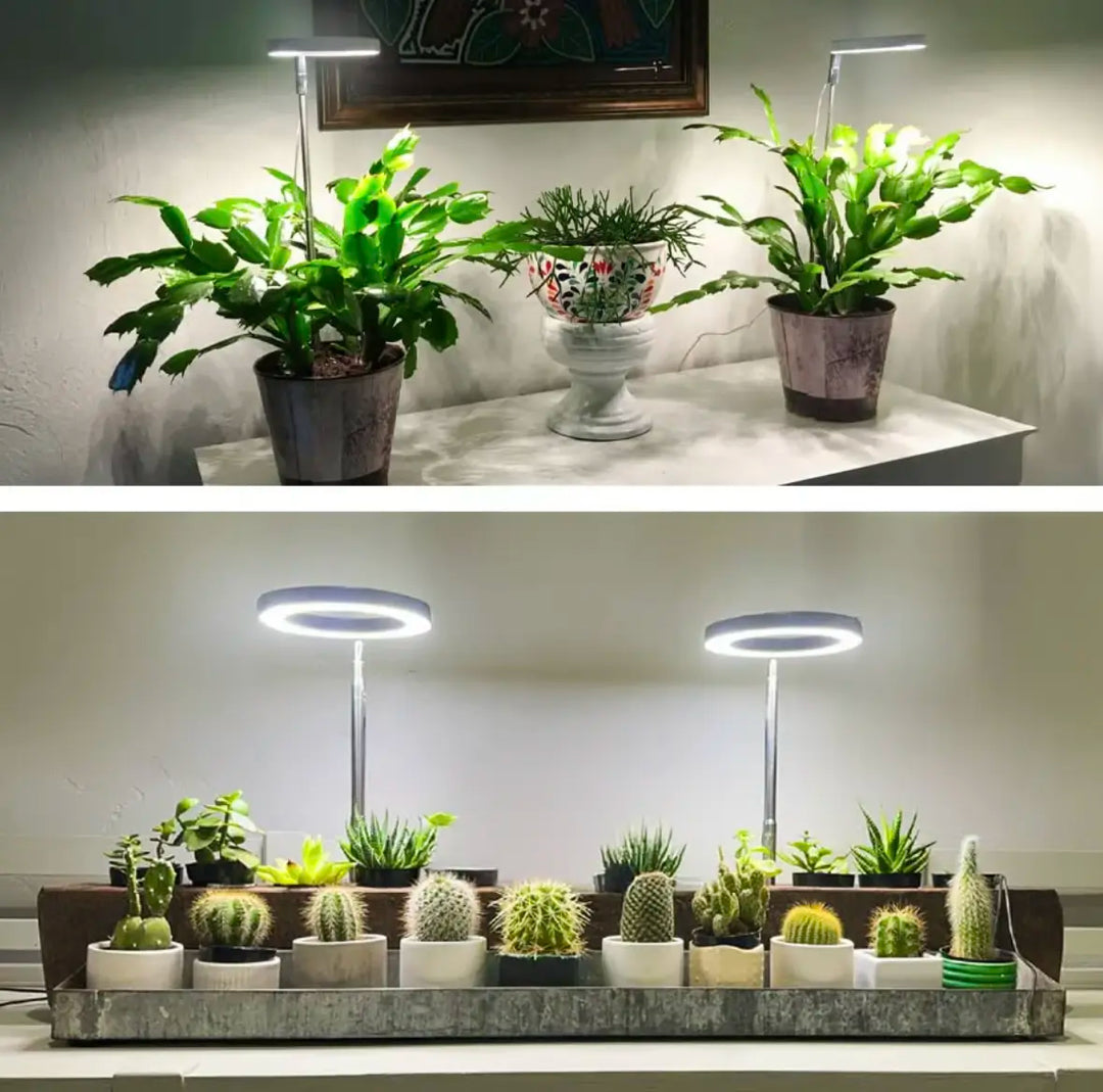 Iliana - Verstellbare LED-Pflanzenlampe